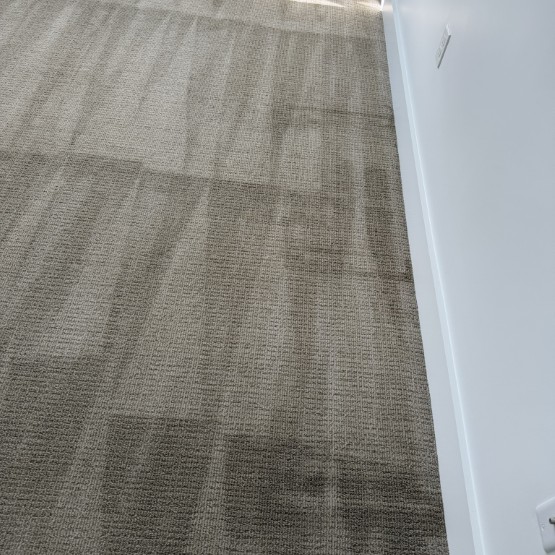 Carpet clean after (Custom)