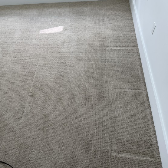 Carpet clean before (Custom)